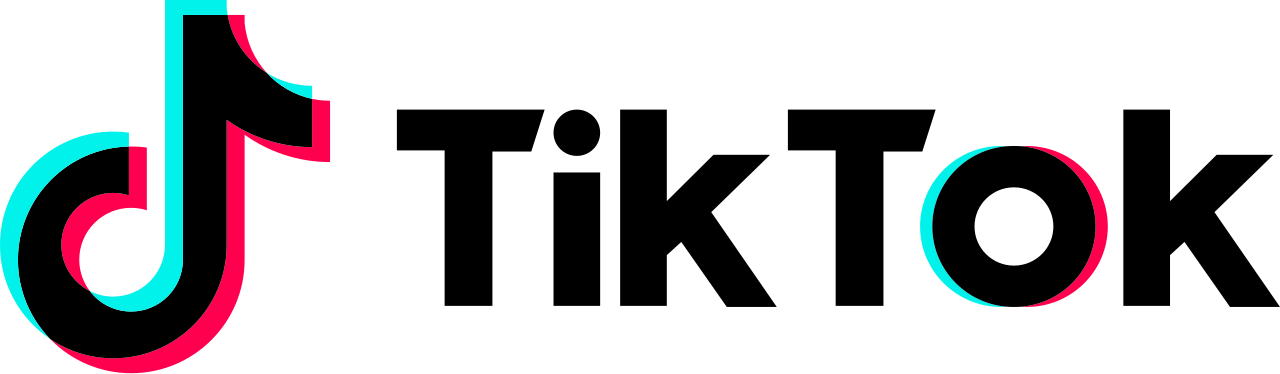 The TikTok Hack Logo